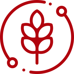 Bio Tech